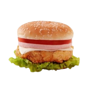 product_11-300×300.jpg-removebg-preview Burger & Pasta